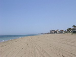 denia